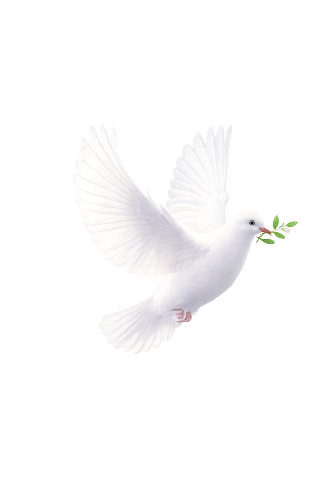 flying dove